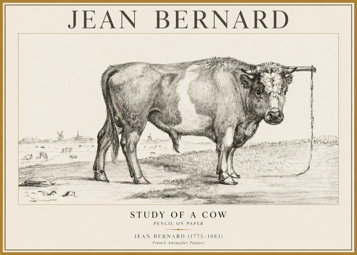 Jean Bernard Study of a Bull III No5 - Affiche