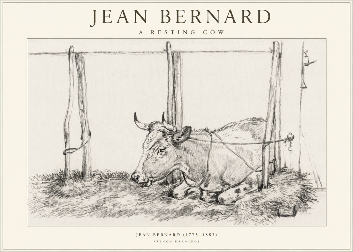 Jean Bernard A Resting Cow No1 - Affiche