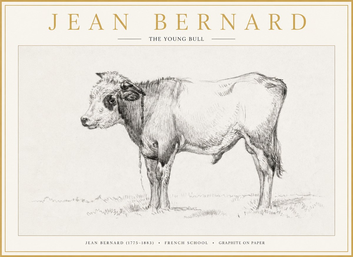 Jean Bernard The Young Bull No1 - Affiche