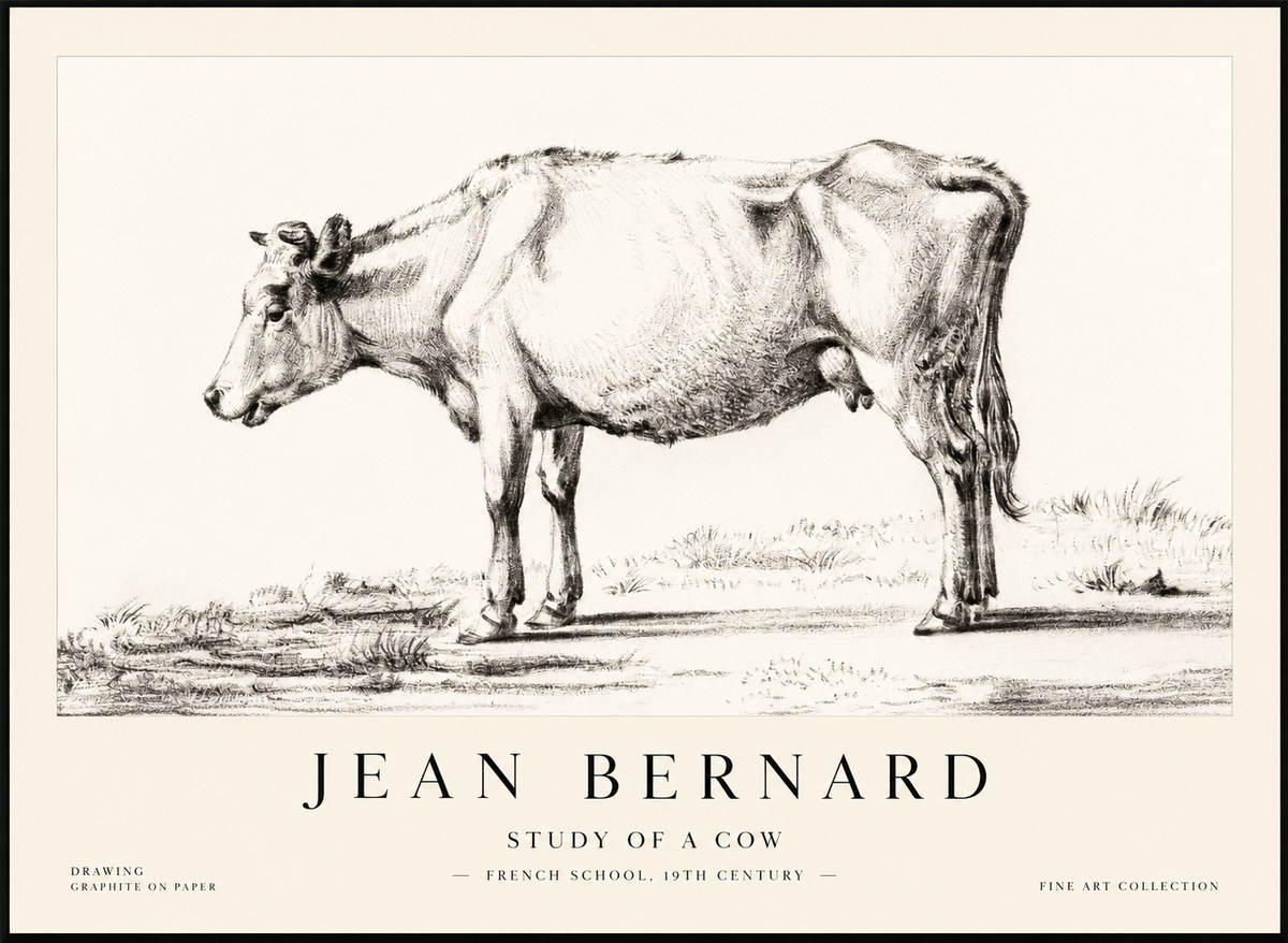 Jean Bernard Study of a Cow XI No2 - Affiche