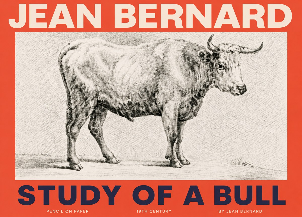 Jean Bernard Study of a Bull IV No3 - Affiche