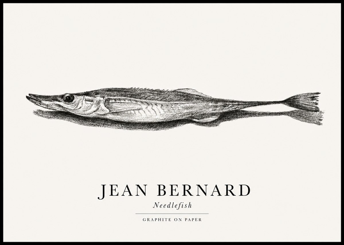 Jean Bernard Needlefish No1 - Affiche