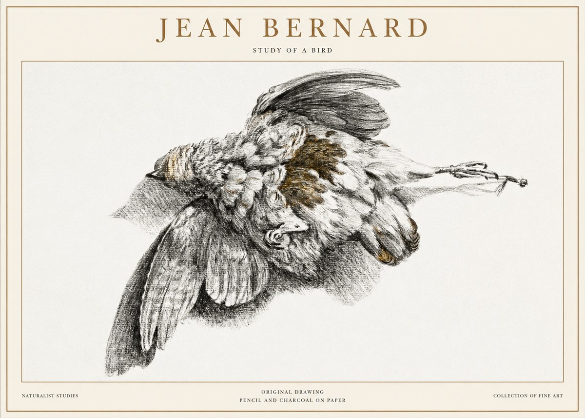 Jean Bernard Study of a Bird III No1 - Affiche