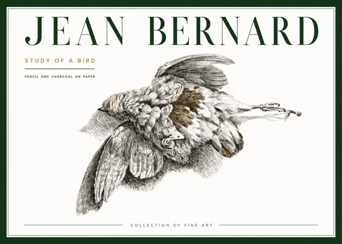 Jean Bernard Study of a Bird III No4 - Affiche