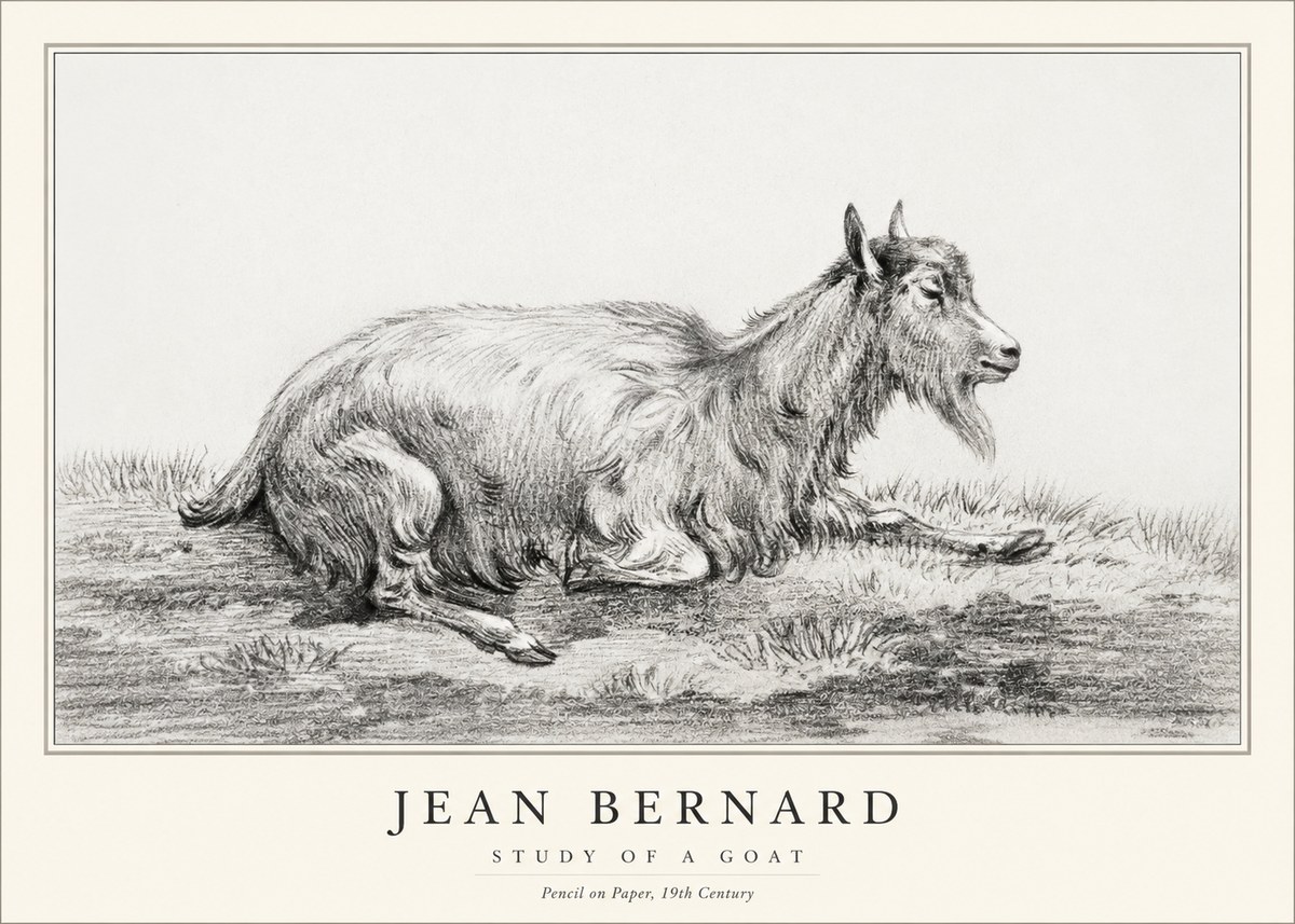 Jean Bernard Study of a Goat V No1 - Affiche