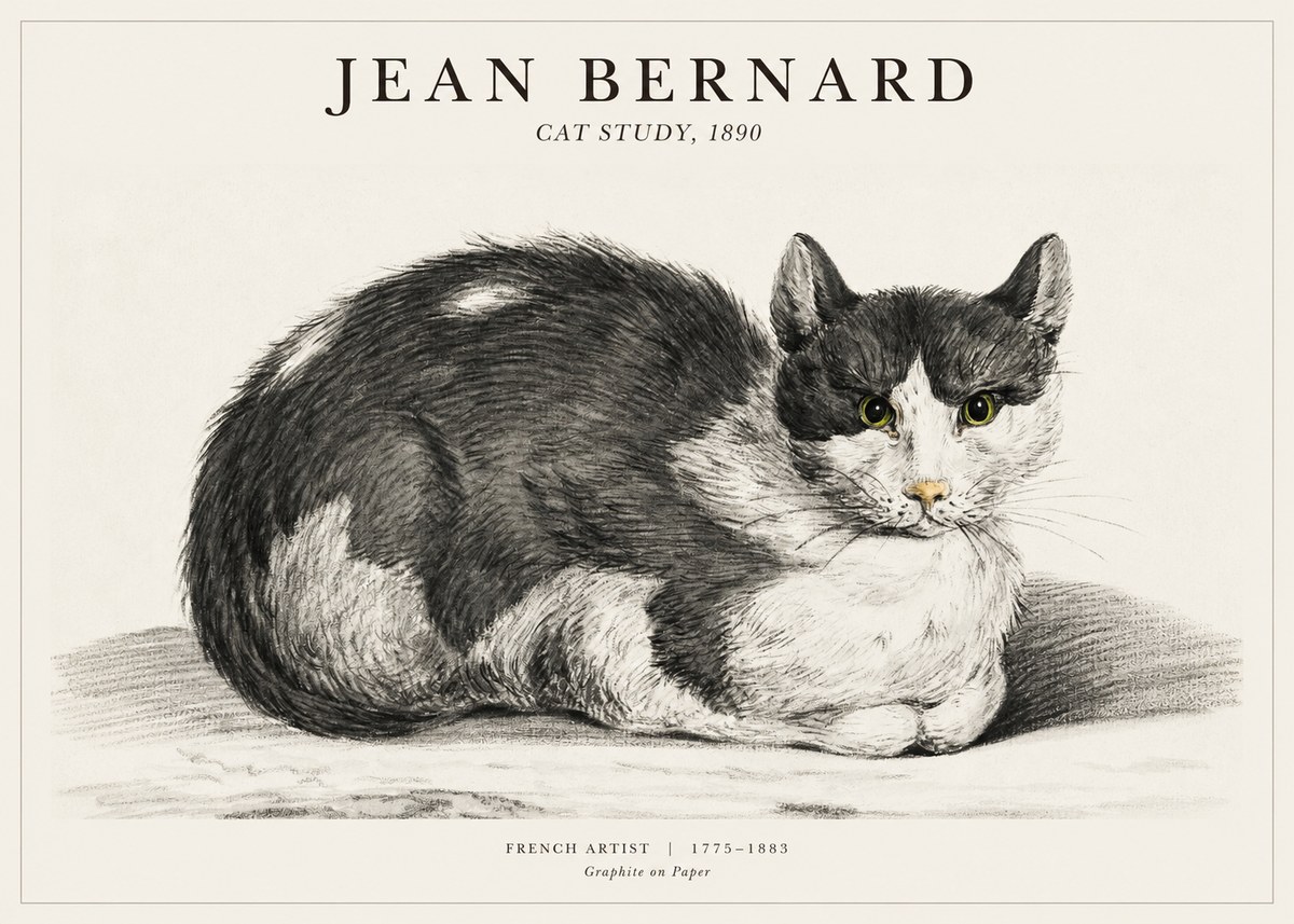 Jean Bernard Cat Resting No3 - Affiche