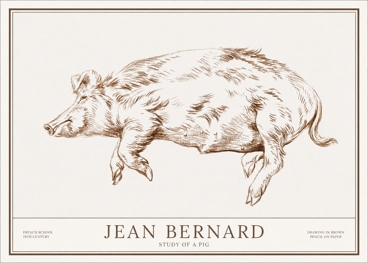 Jean Bernard Study of a Pig II No1 - Affiche