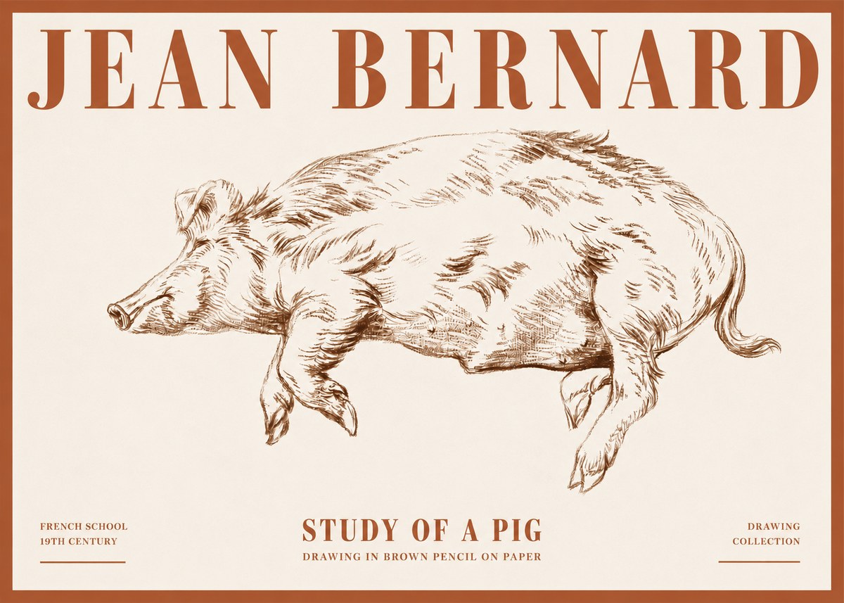 Jean Bernard Study of a Pig II No4 - Affiche
