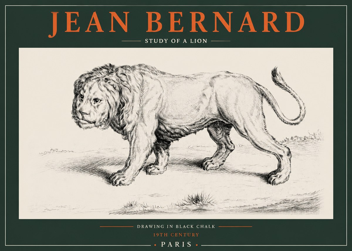 Jean Bernard Study of a Lion II No2 - Affiche