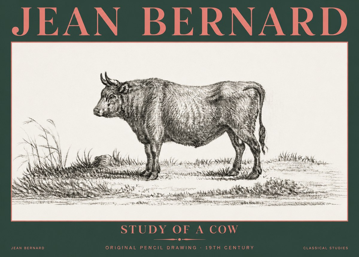 Jean Bernard Study of a Cow XIII No5 - Affiche