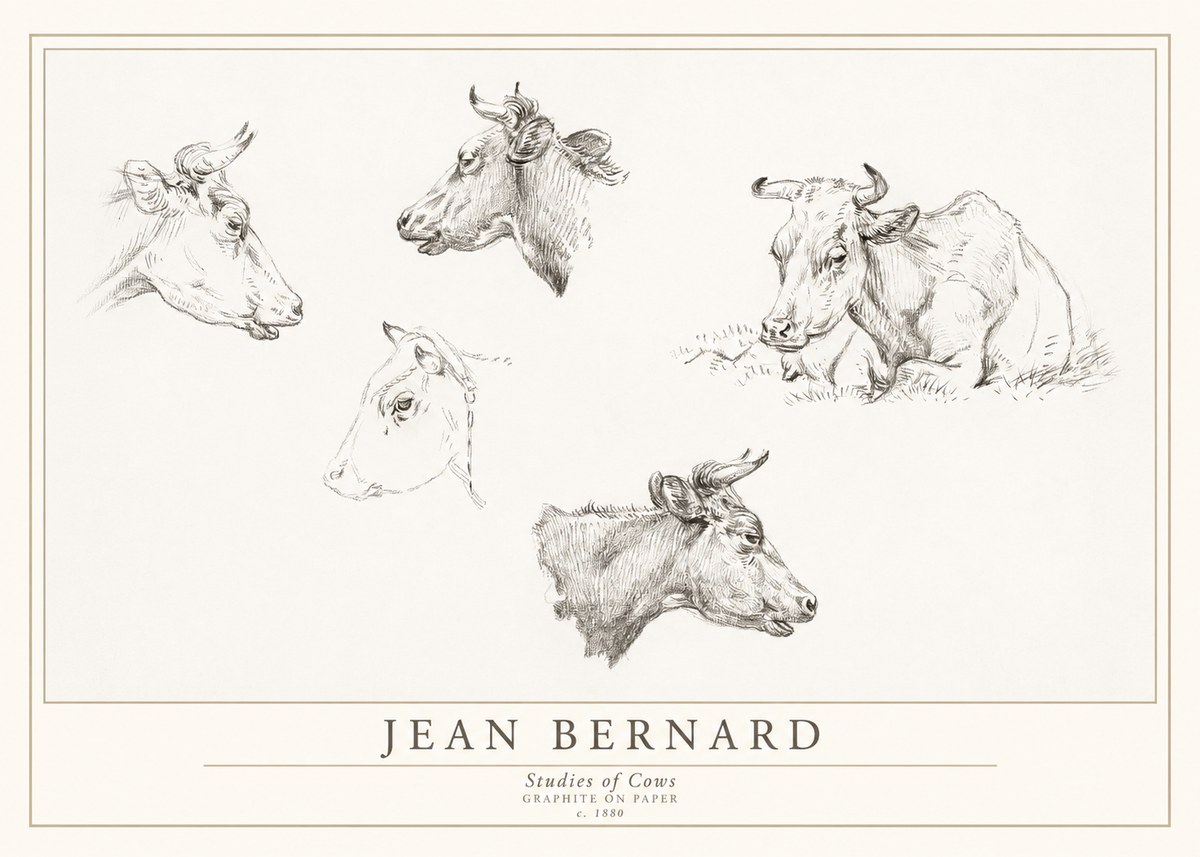 Jean Bernard Studies of Cows I No1 - Affiche