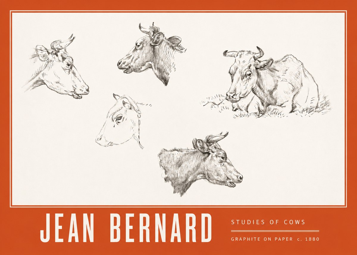 Jean Bernard Studies of Cows I No3 - Affiche
