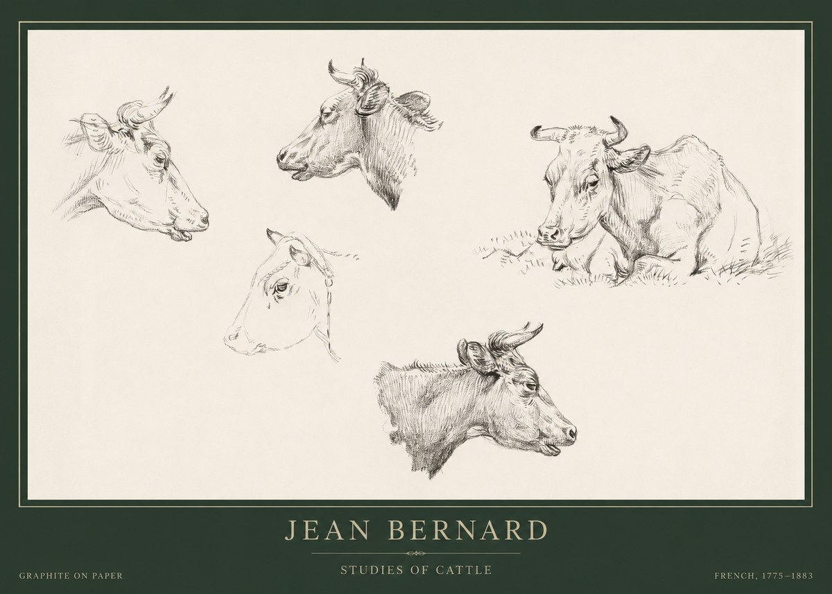 Jean Bernard Studies of Cows I No5 - Affiche