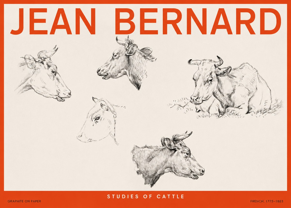 Jean Bernard Studies of Cows I No6 - Affiche