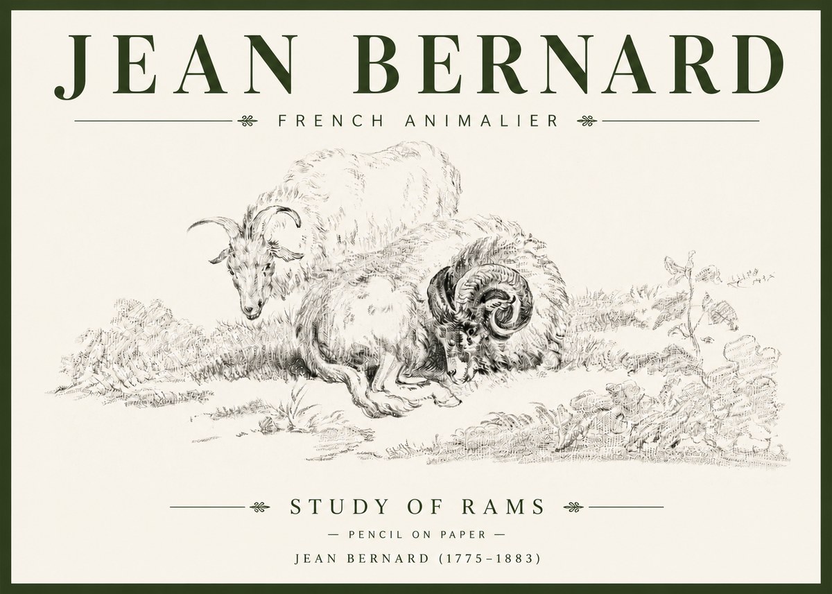Jean Bernard Study of Sheep No6 - Affiche