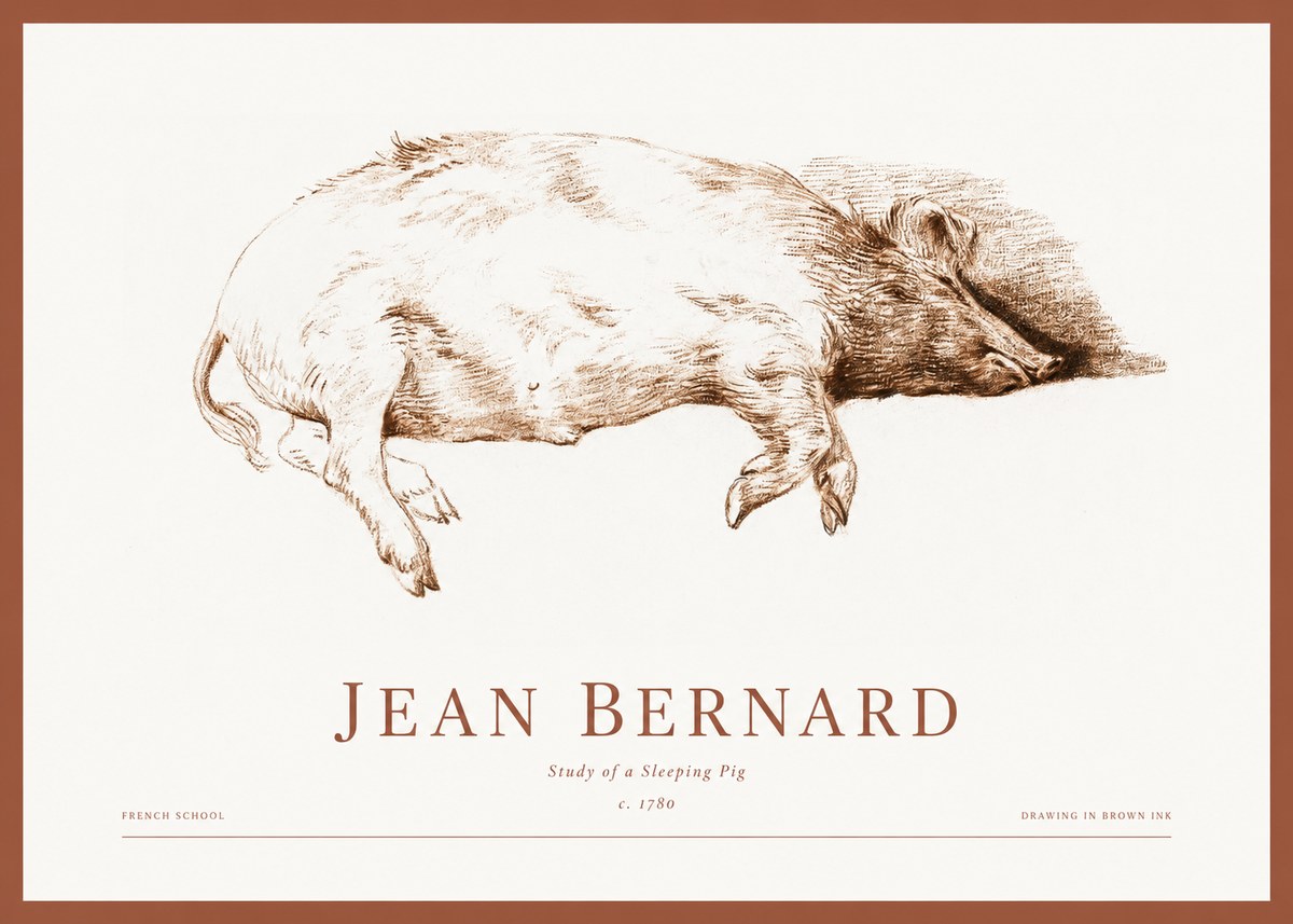 Jean Bernard Study of a Sleeping Pig No1 - Affiche