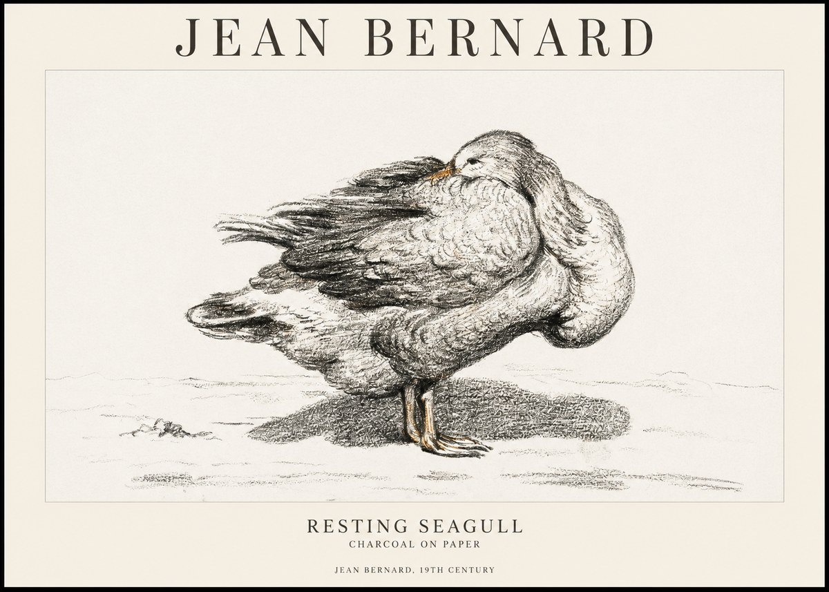 Jean Bernard Resting Seagull No1 - Affiche