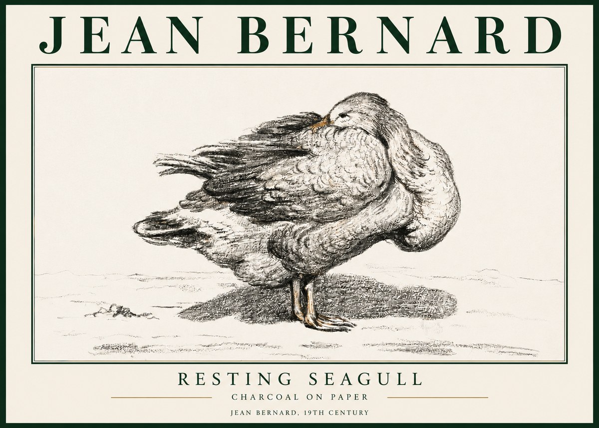 Jean Bernard Resting Seagull No3 - Affiche