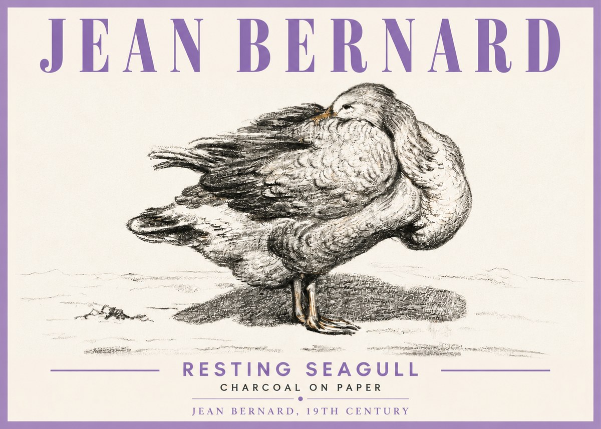 Jean Bernard Resting Seagull No6 - Affiche