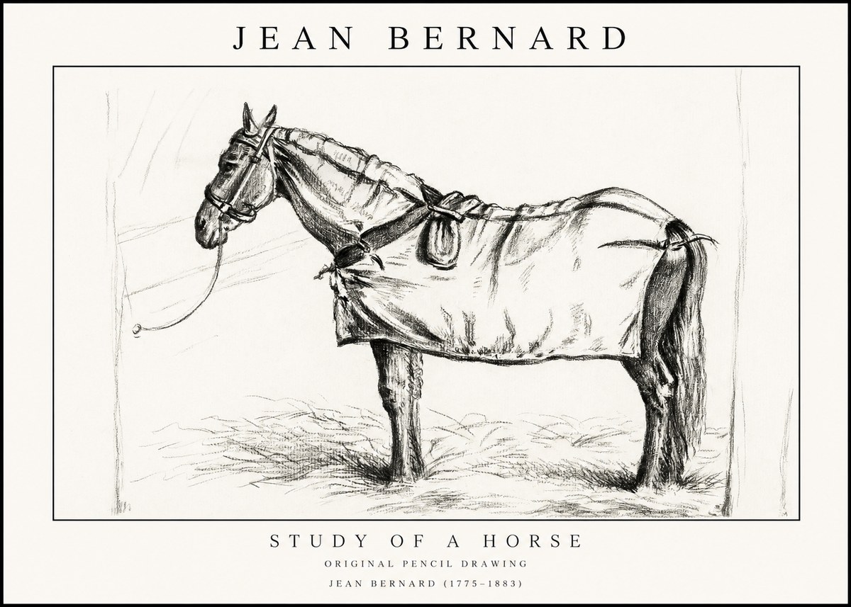 Jean Bernard Study of a Horse XI No1 - Affiche