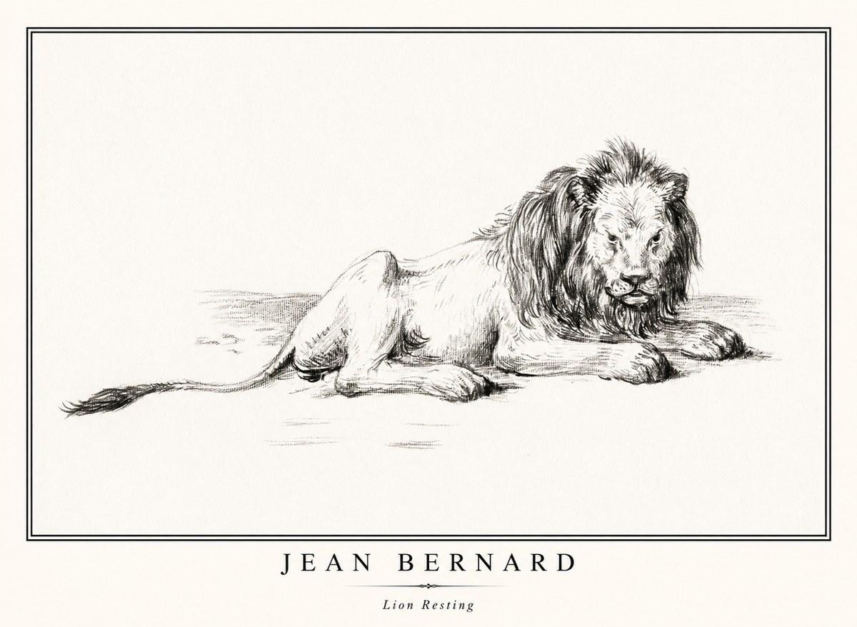 Jean Bernard Lion Resting No1 - Affiche