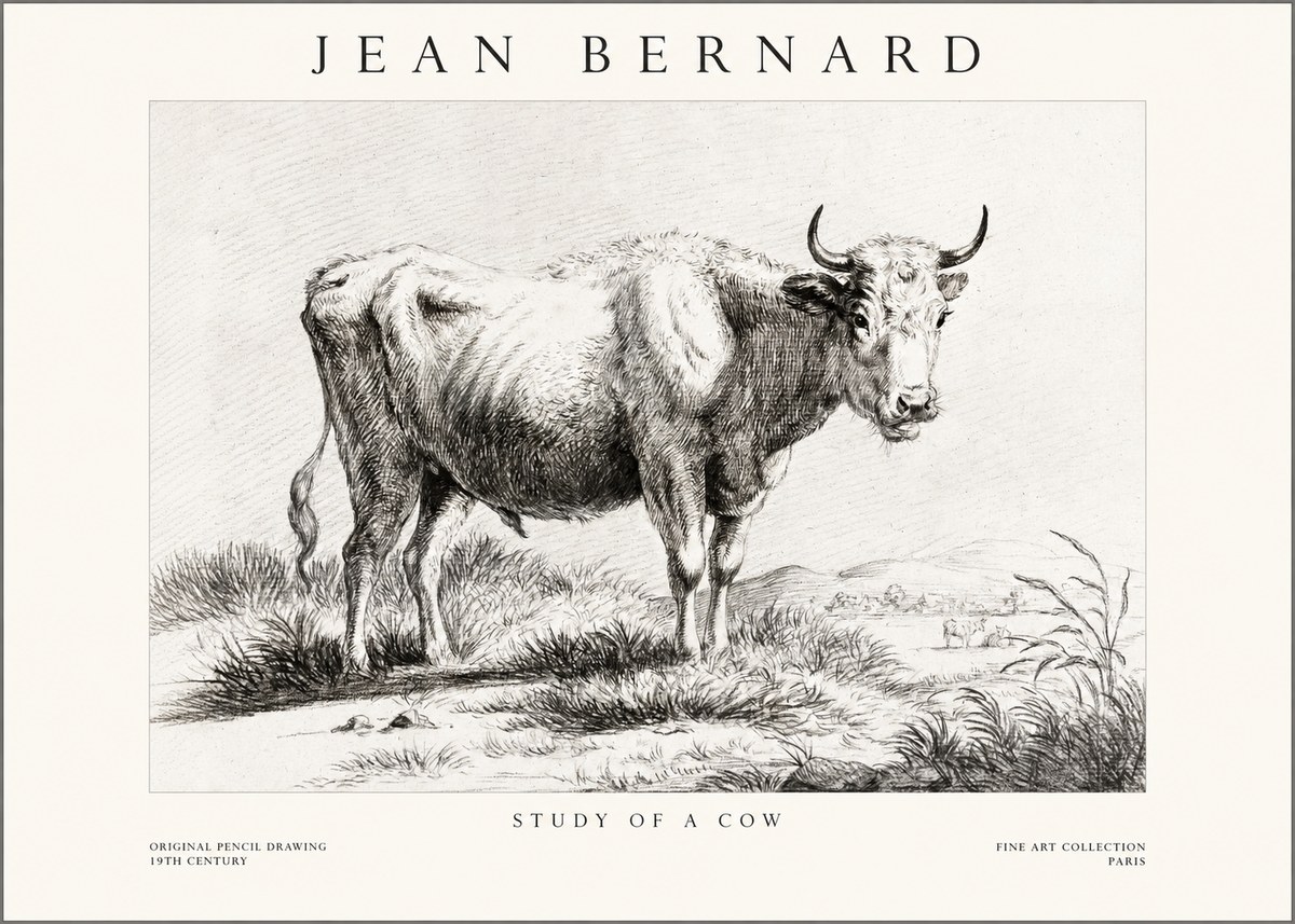 Jean Bernard Study of a Cow XVI No1 - Affiche