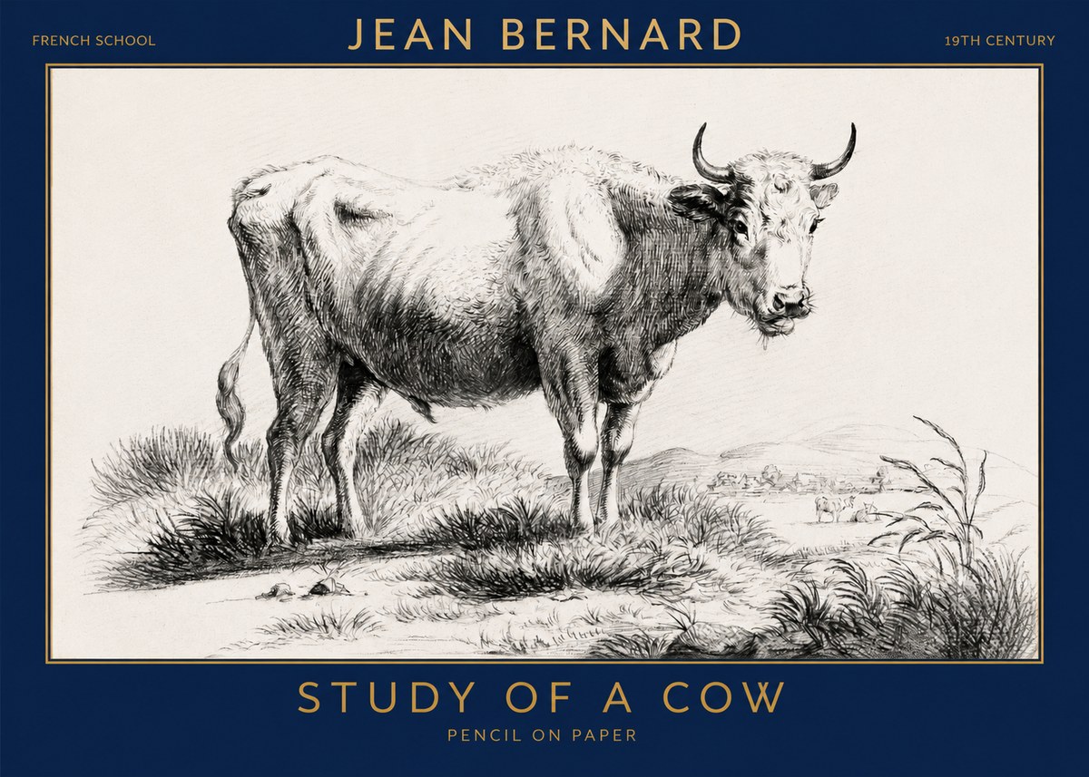 Jean Bernard Study of a Cow XVI No3 - Affiche