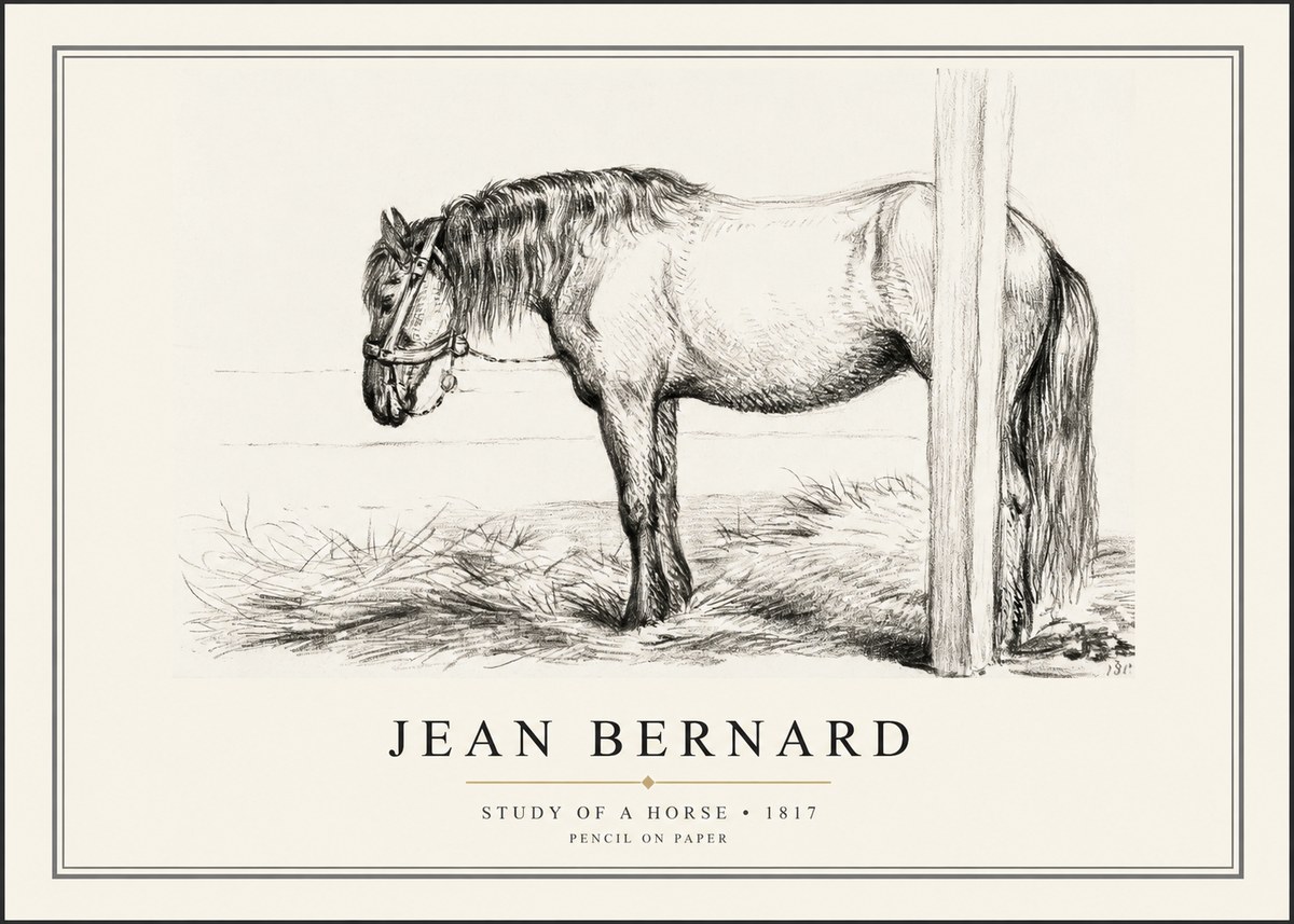 Jean Bernard Study of a Horse XII No1 - Affiche