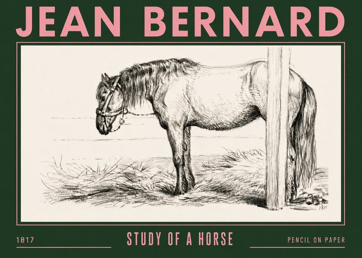 Jean Bernard Study of a Horse XII No4 - Affiche
