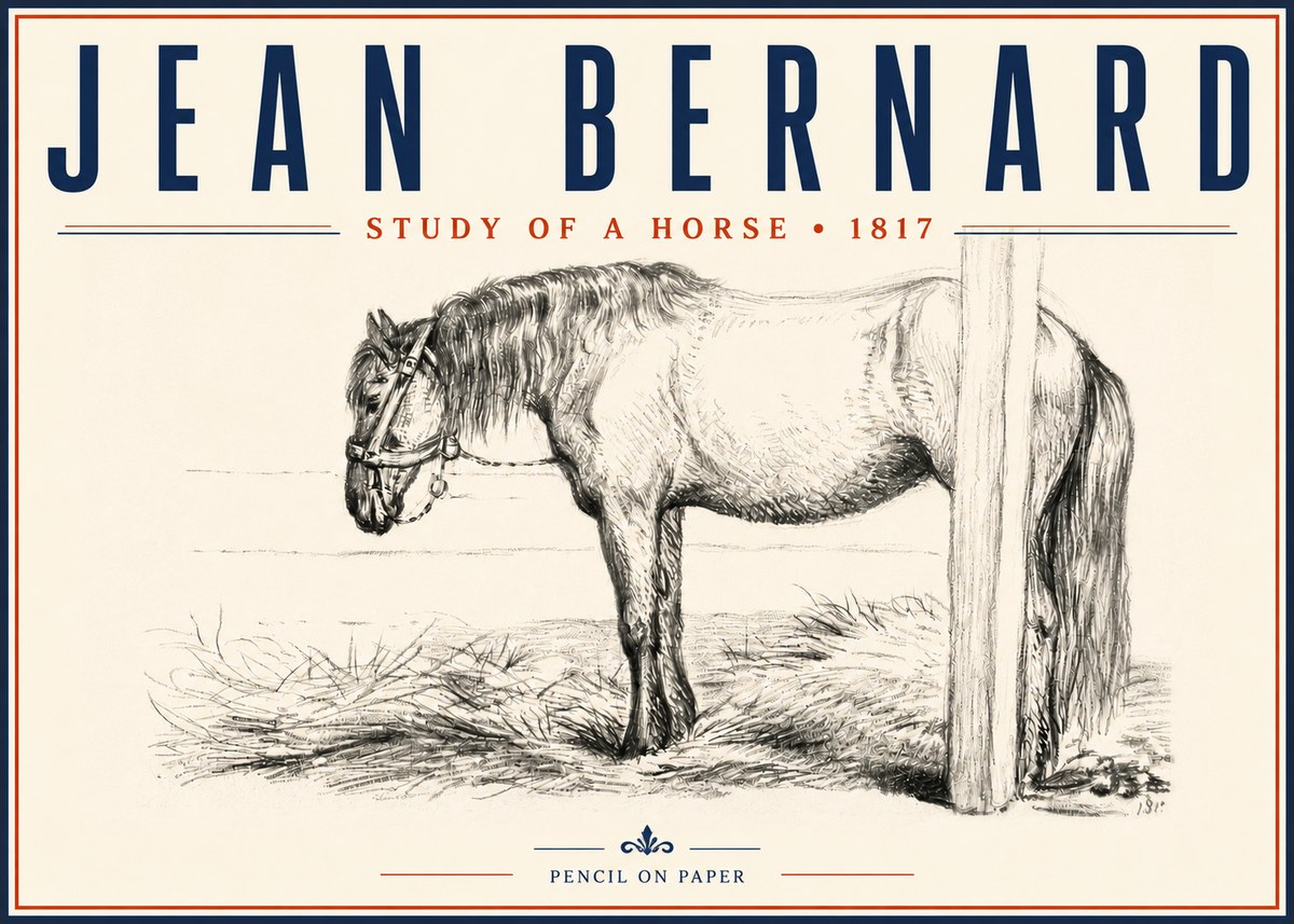 Jean Bernard Study of a Horse XII No5 - Affiche