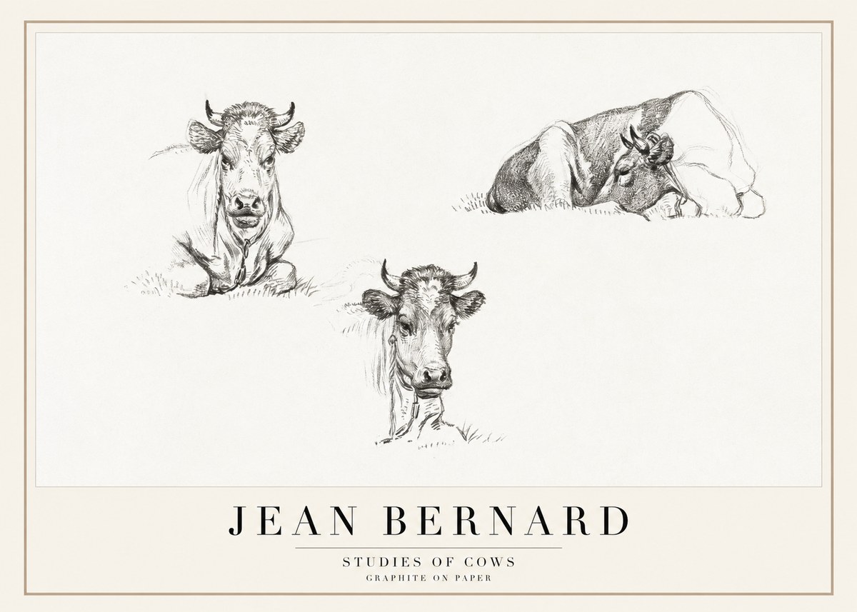 Jean Bernard Studies of Cows II No1 - Affiche