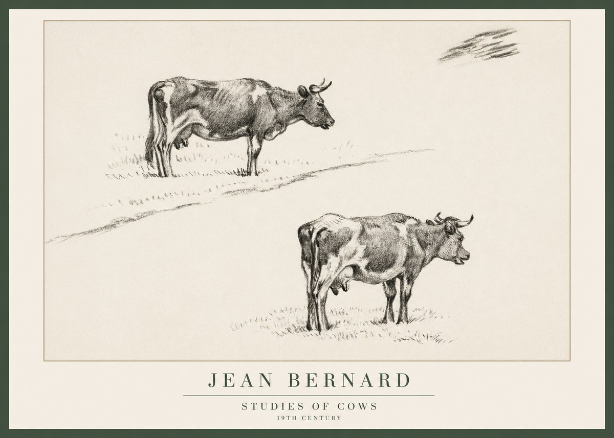 Jean Bernard Studies of Cows III No1 - Affiche