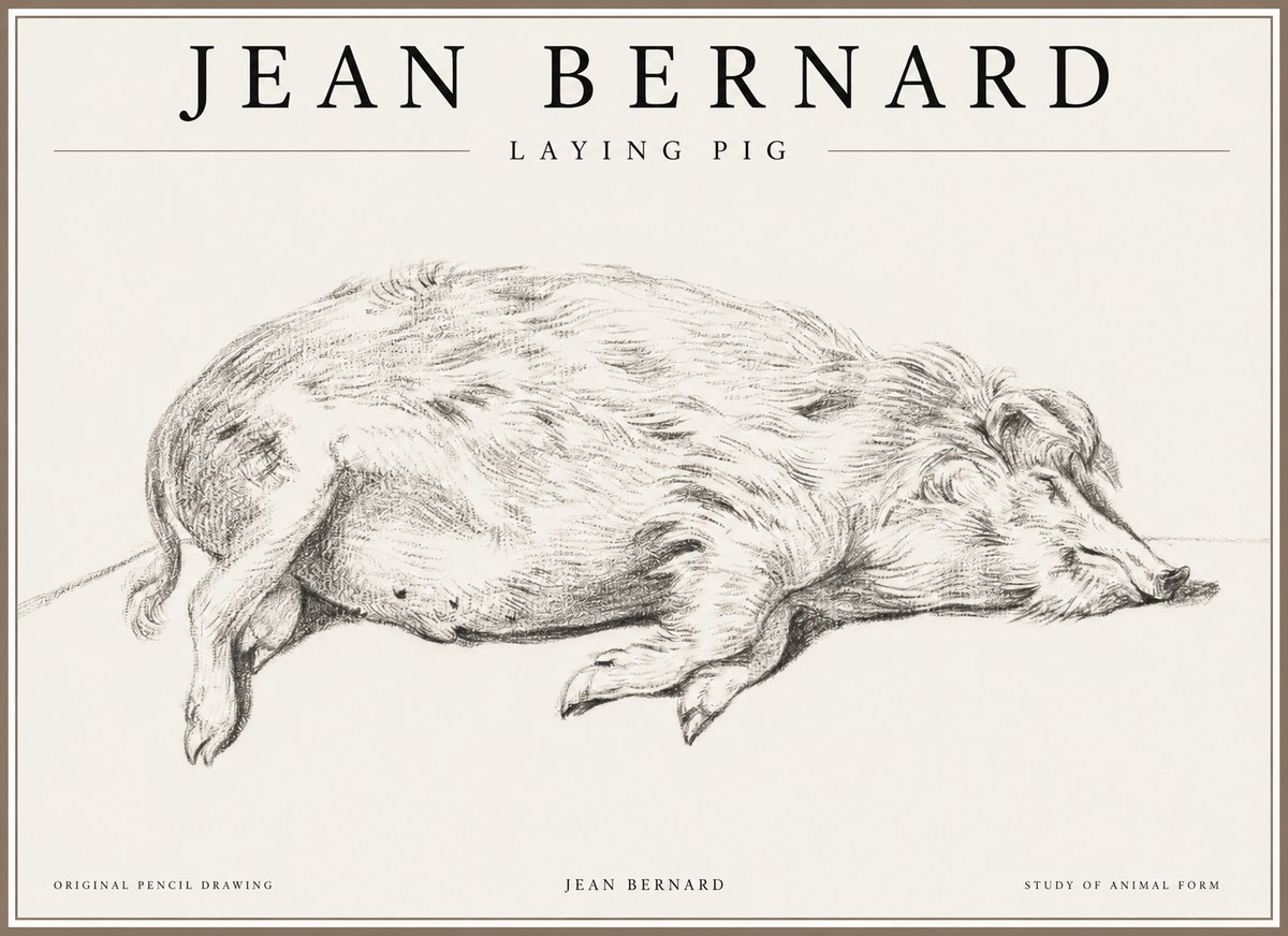 Jean Bernard Laying Pig No1 - Affiche