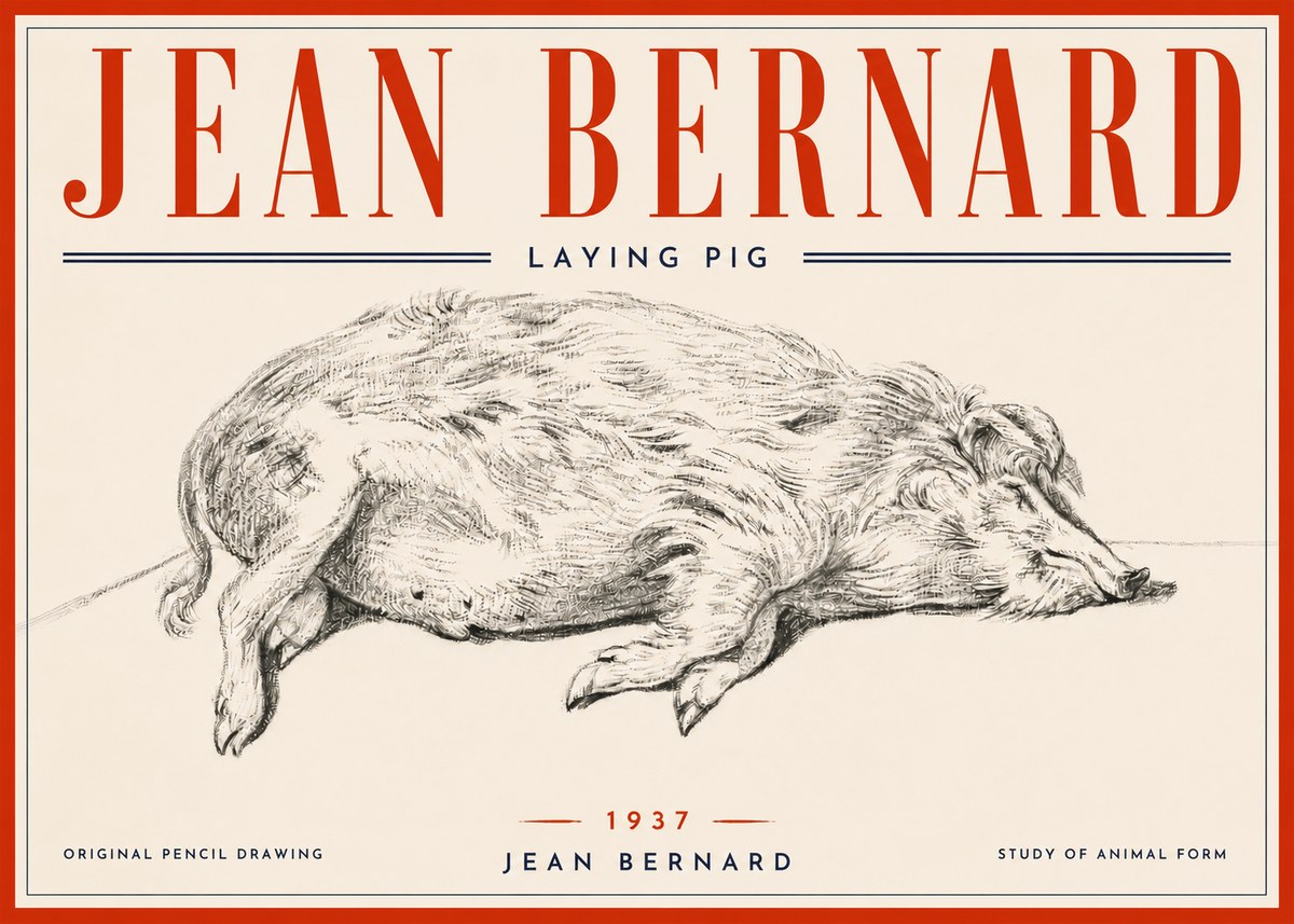 Jean Bernard Laying Pig No6 - Affiche