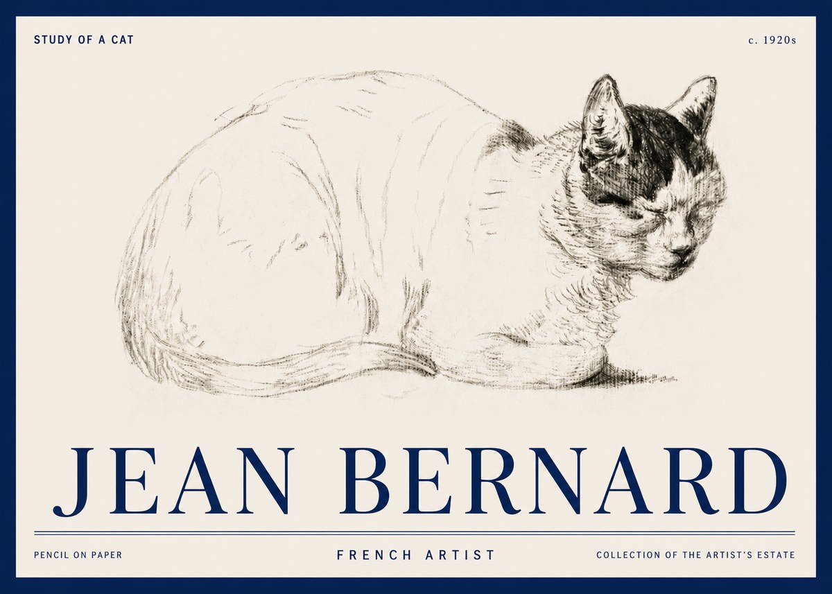 Jean Bernard Study of a Cat III No3 - Affiche