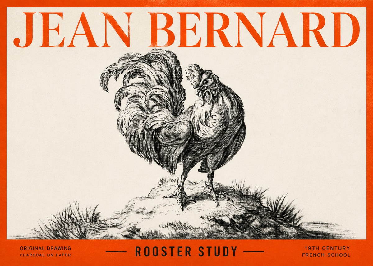 Jean Bernard Study of a Rooster No3 - Affiche
