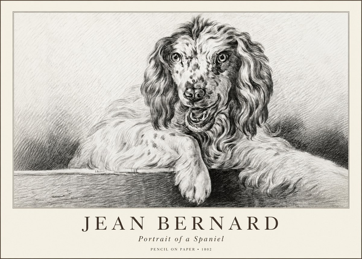 Jean Bernard Portrait of a Spaniel No1 - Affiche
