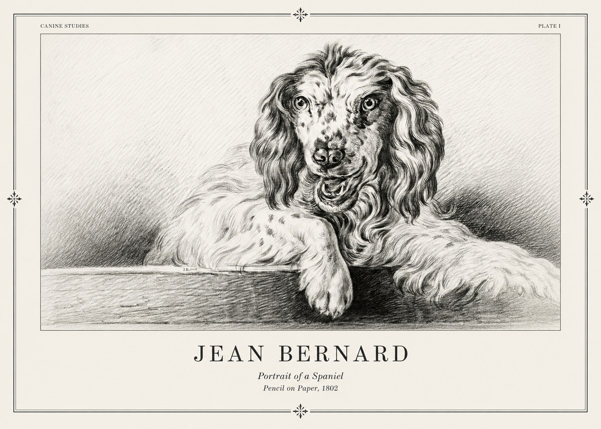 Jean Bernard Portrait of a Spaniel No2 - Affiche