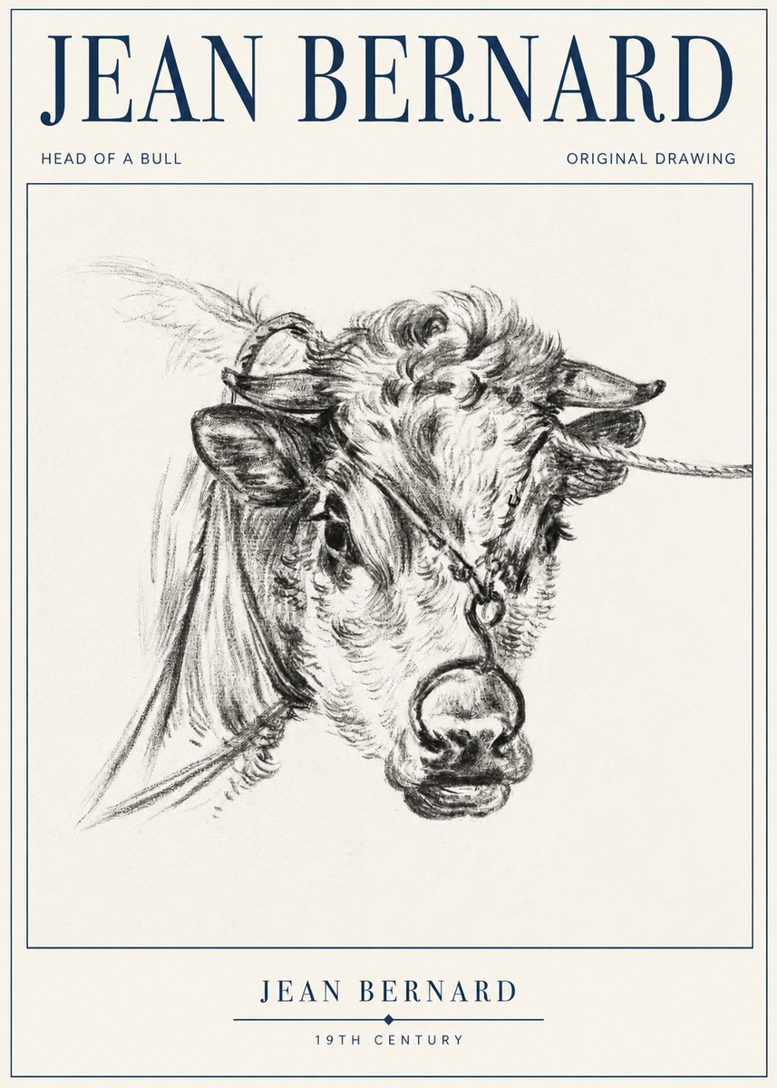 Jean Bernard Head of a Bull No1 - Affiche