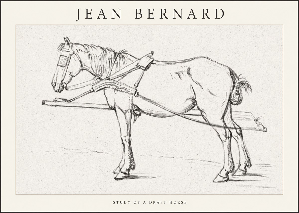 Jean Bernard Study of a Draft Horse II No1 - Affiche
