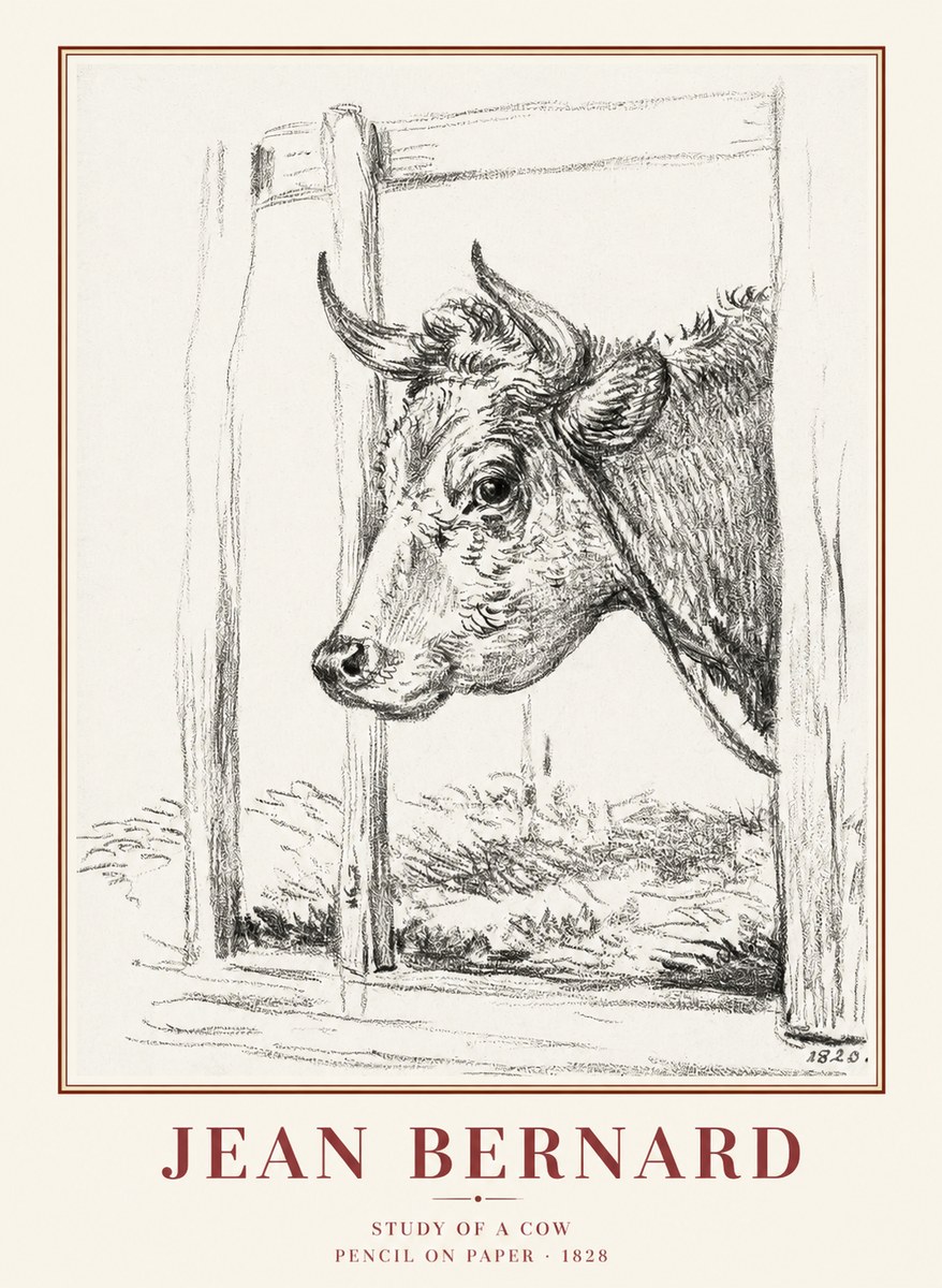 Jean Bernard Study of a Cow XVIII No1 - Affiche