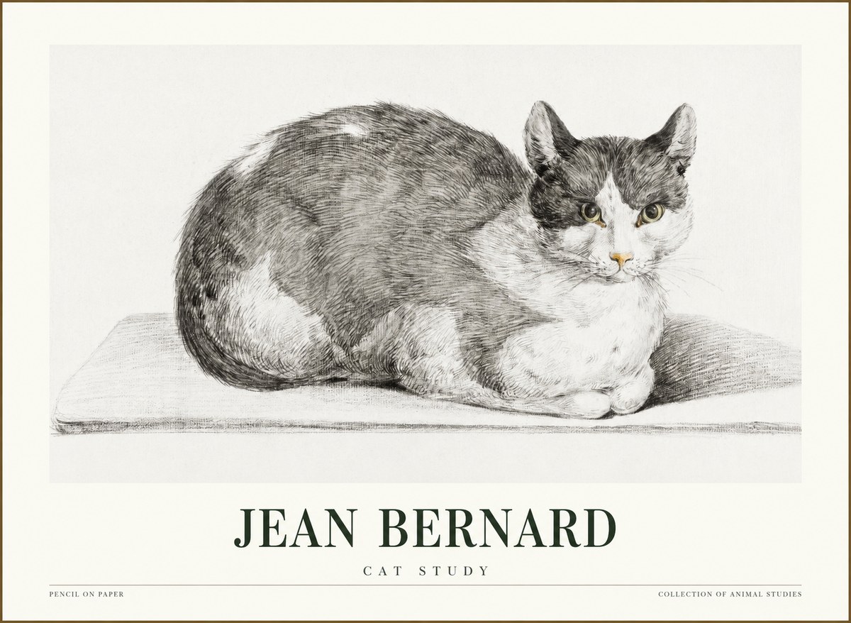 Jean Bernard Cat Study XI No1 - Affiche