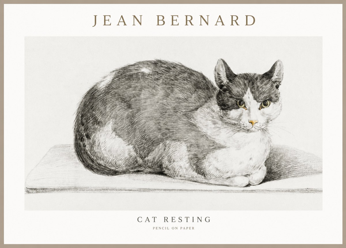 Jean Bernard Cat Study XI No3 - Affiche