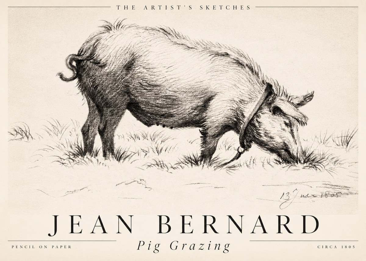 Jean Bernard Pig Grazing No2 - Affiche