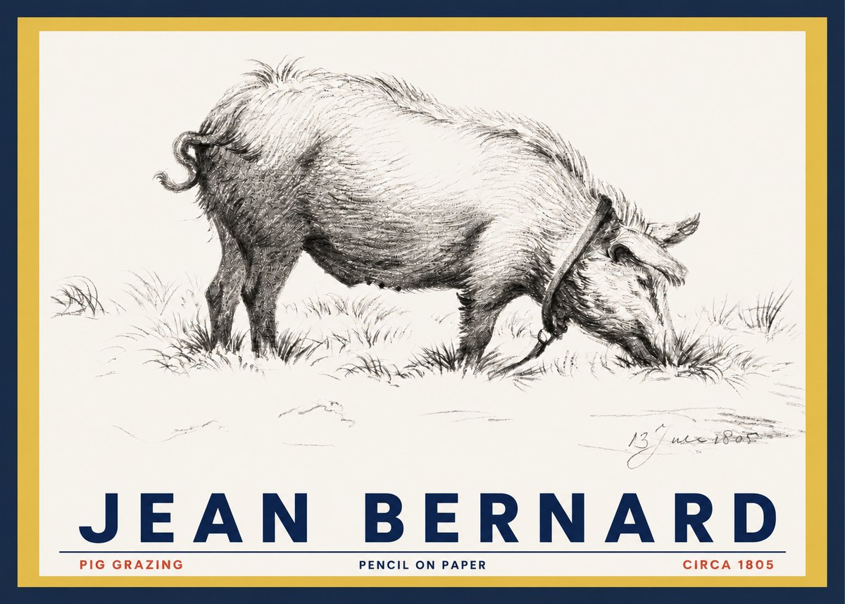 Jean Bernard Pig Grazing No3 - Affiche