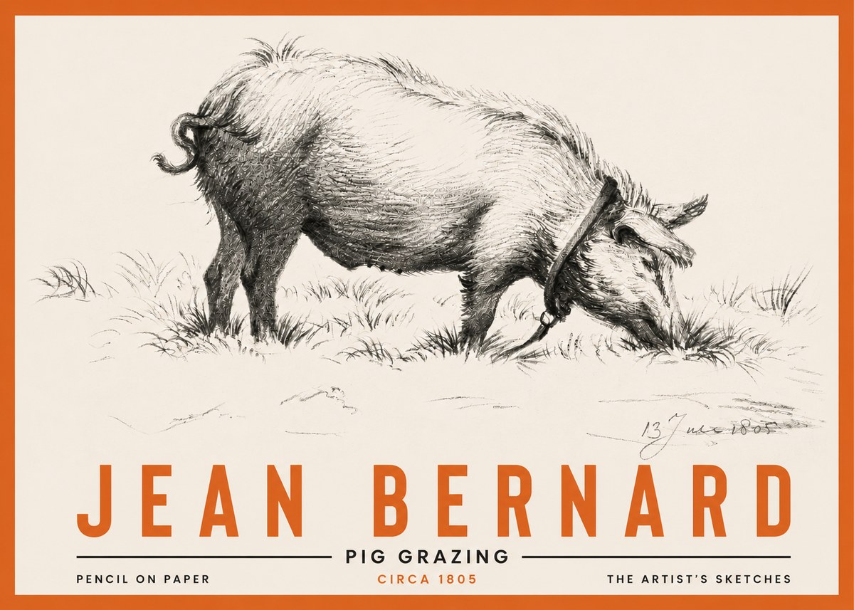Jean Bernard Pig Grazing No4 - Affiche