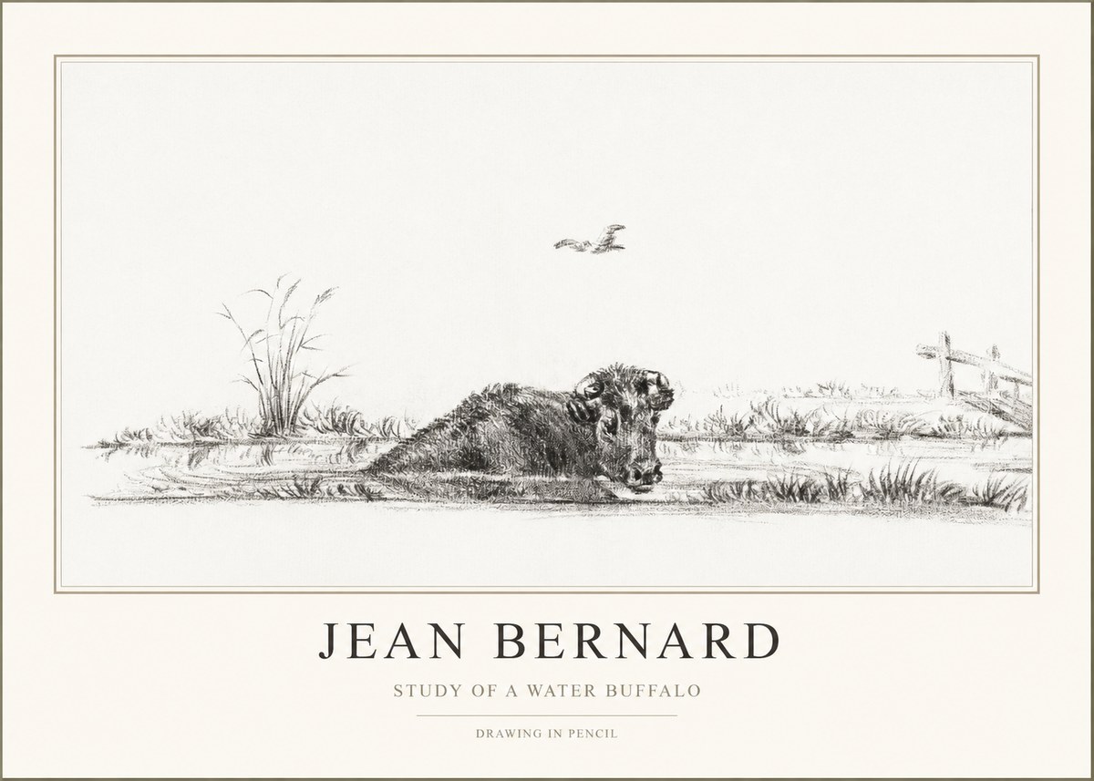 Jean Bernard Study of a Water Buffalo No1 - Affiche