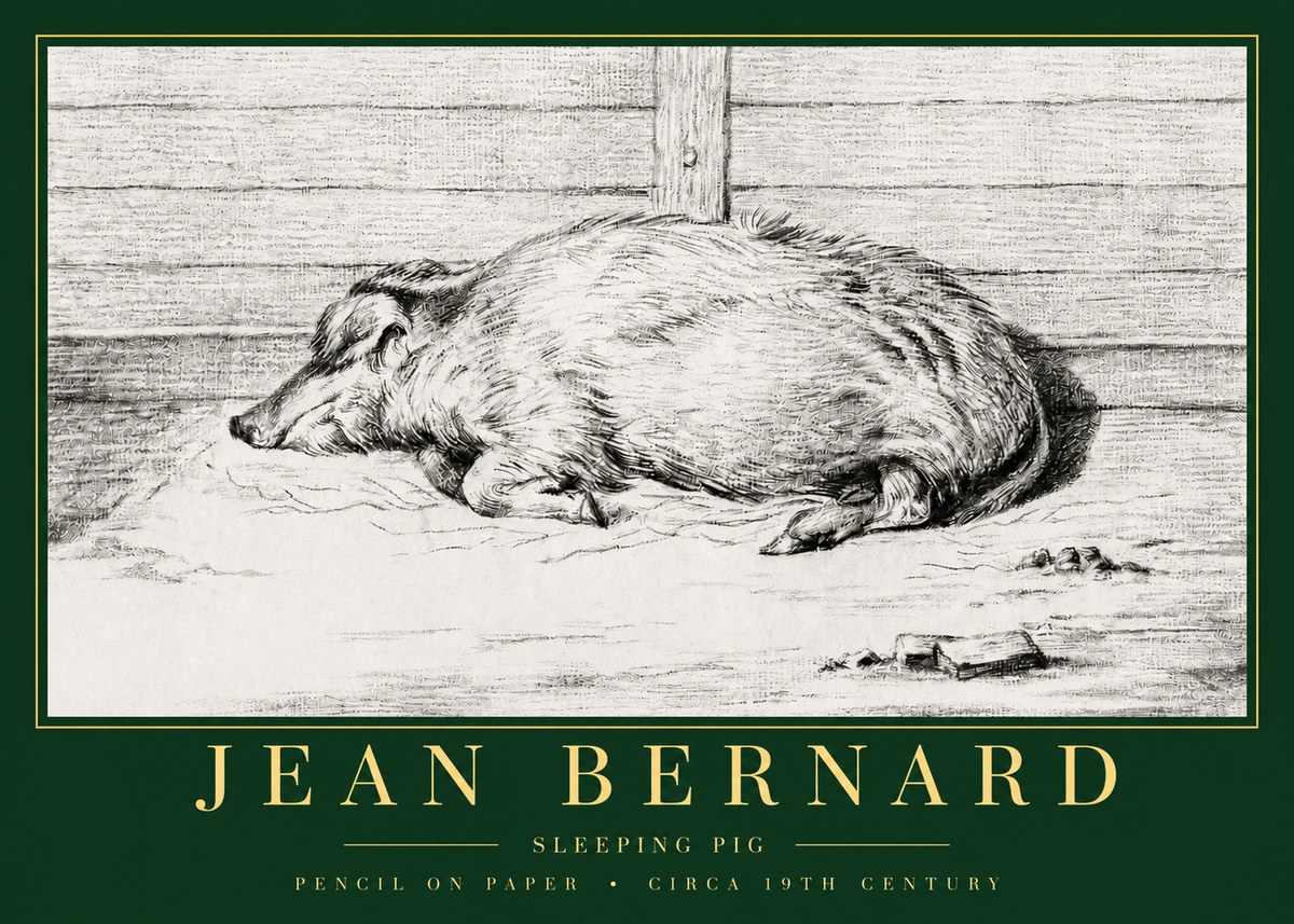 Jean Bernard Sleeping Pig I No3 - Affiche