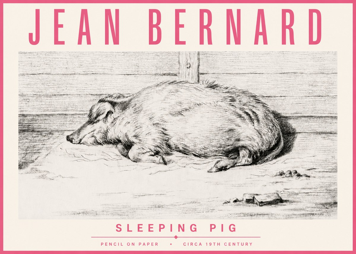 Jean Bernard Sleeping Pig I No4 - Affiche