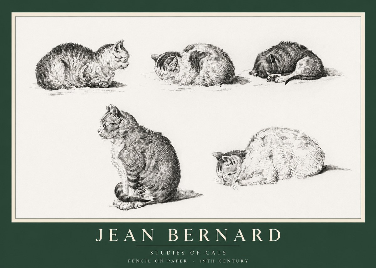 Jean Bernard Studies of Cats No1 - Affiche